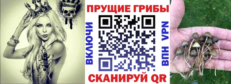 Купить закладки Верхний Тагил Галлюциногенные грибы Magic Shrooms